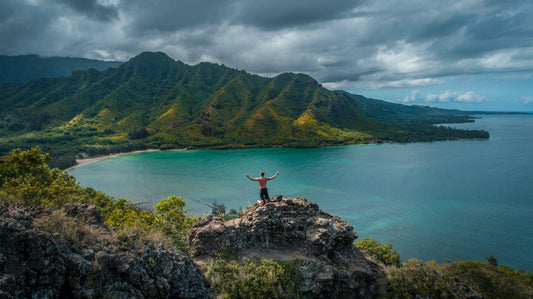 100% Hawaiian Coffee Subscription