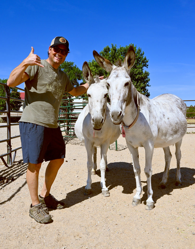 Give A Hoof Program | Donkey Rescue