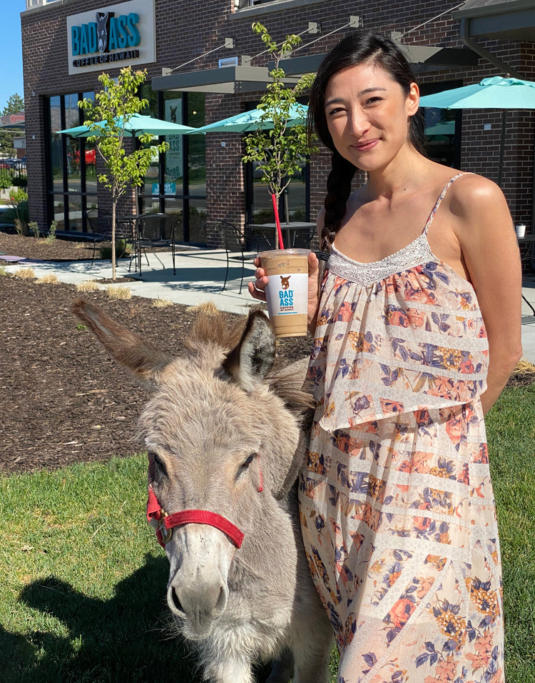 Give A Hoof Program | Donkey Rescue