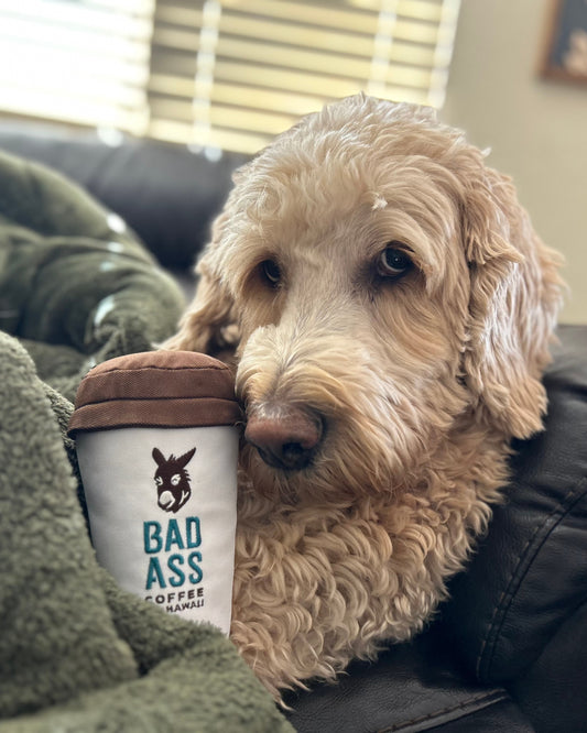 Dog Toy | Bad Ass Coffee of Hawaii Cup