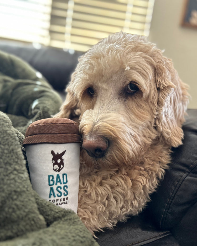 Dog Toy | Bad Ass Coffee of Hawaii Cup