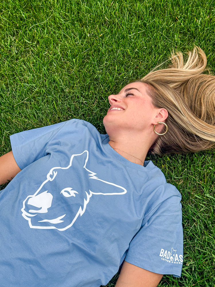 Person wearing a blue t-shirt with a donkey graphic lying on grass