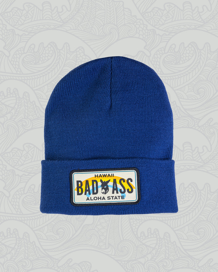 License Plate Beanies