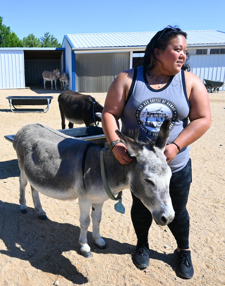 Give A Hoof Program | Donkey Rescue