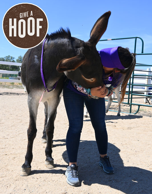 Give A Hoof Program | Donkey Rescue